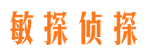 张湾市侦探公司